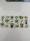 1001 Succulents